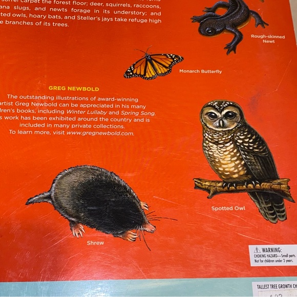 2004 Golden Gate National Parks Conservancy Tallest Tree 6 Foot Growth Chart - Picture 11 of 16